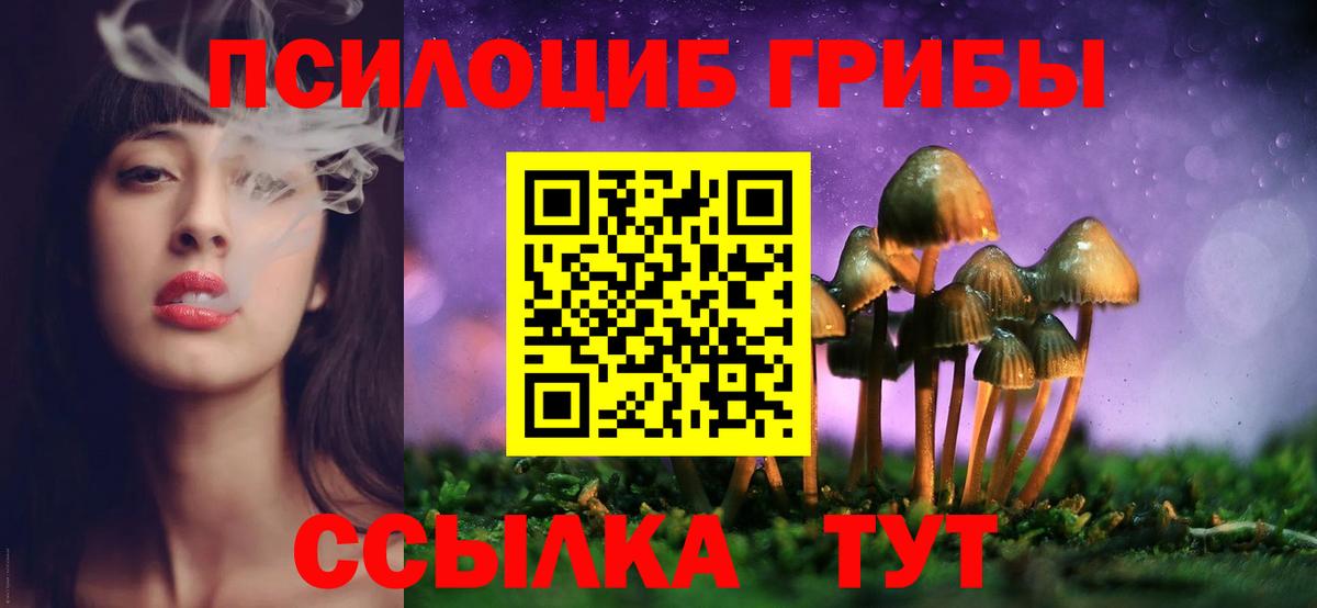 Галлюциногенные грибы Cubensis Камышлов